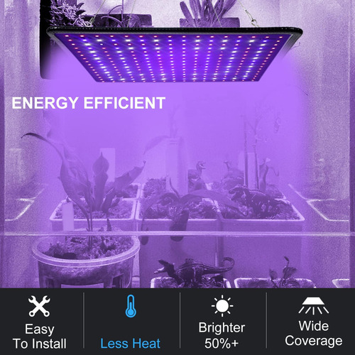 600w Led Led De Espectro Completo Para Plantas De Lámpara De