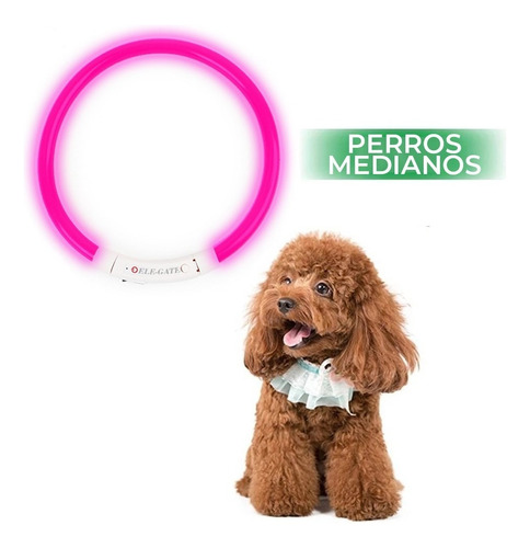 Collar De Perro Con Luz Led Recargable Usb Talla M Ele-gate