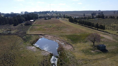 Venta De Chacra En Paraje Soca, Canelones Ie2 - 1691 (ref: Iea-1691)
