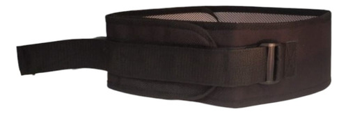 Cinturón Seguridad Para Silla De Ruedas Resistente Y Suave 120 Cm Mediano