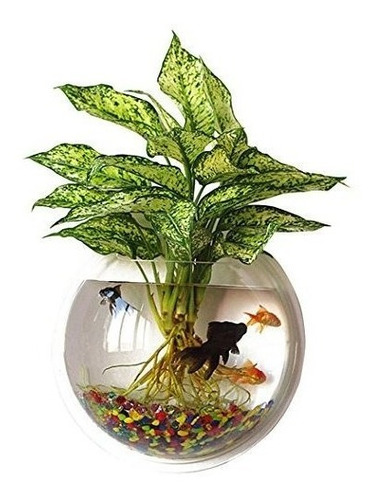 Outgeek Wall Fish Bubble Wall Hanging Bowl Clear Acrilico F