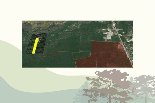 Imagen 8 de 11 de Terreno En Venta En Merida, Lote De Inversion, Bosques San I