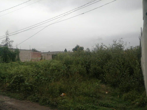 Terreno Habitacional En Venta En Montecillo, Texcoco, México