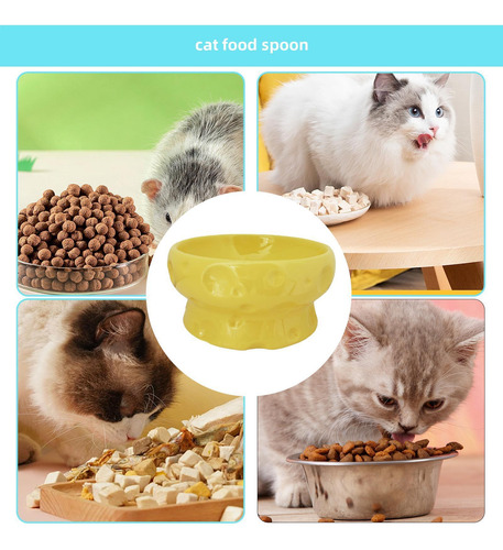 Plato Para Comida De Gatos Bebedero Resistente Cuenco De Cer