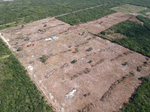 Imagen 8 de 21 de Terreno En Venta En Yucatan A 6 Minutos De La Playa Sn Crisa