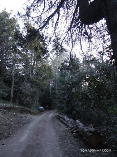 Imagen 3 de 8 de Terreno - Bariloche