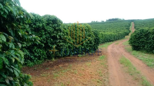 Imagem 1 de 15 de Fazenda Para Venda Em Ouro Fino, - - Fazenda 0_1-2221666
