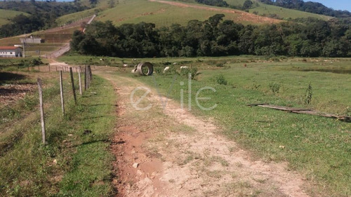 Terreno À Venda Em - Te007812
