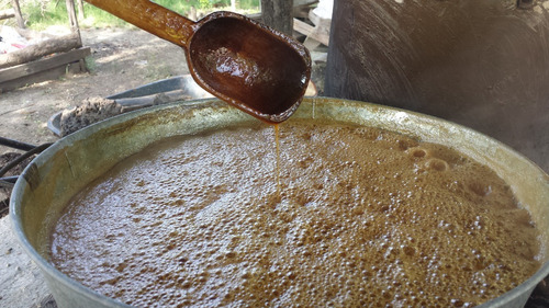Imagen 8 de 9 de Miel De Caña De Azúcar La Perla De Los Rios Cont Neto 12pzas