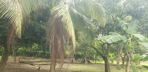 Finca En Venta A 15 Minutos Del Centro De Cerete