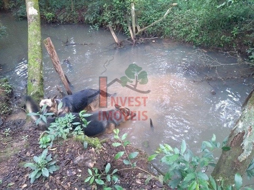 Imagem 8 de 15 de Chacara - Ref: 4992 - V-4992