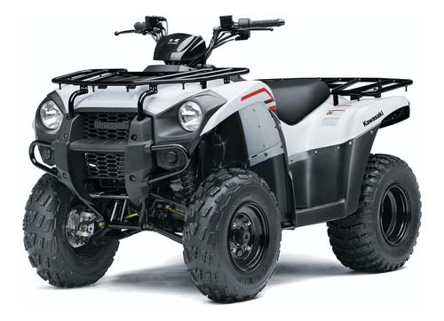 Imagen 4 de 25 de Kawasaki Brute Force 300 2022