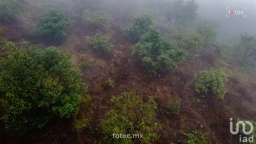 Venta Terreno 0 Ambiente San Andrés (san Andrés Chichayotla)