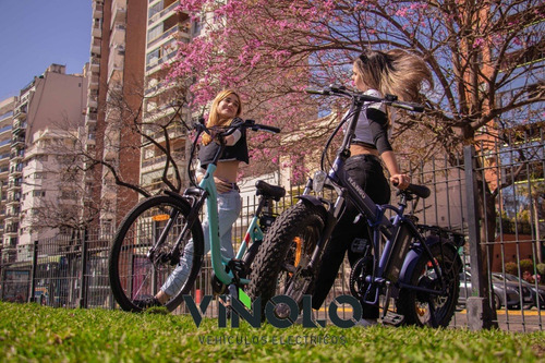 Imagen 7 de 18 de Bicicleta Electrica Viñolo Vehiculos Electricos /m