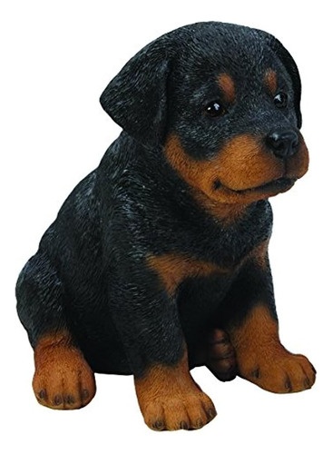Hi-line Gift Ltd Cachorro Rottweiler Sentado, 6.5  
