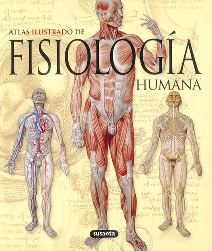 Libro Atlas Ilustrado De La Fisiología Humana - 