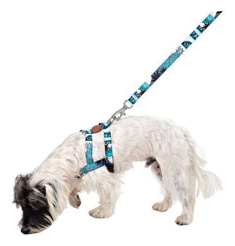 Imagem 5 de 7 de Conjunto Peitoral E Guia Tamanho G Azul Noronha Toh Dog