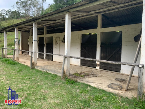 Imagem 20 de 30 de Maravilhoso Sitio Com 72.000 M² Com Lago E Nascente À Venda Em São Lourenço Da Serra - St00022 - 69516737