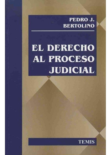 Libro Fisico Derecho Al Proceso Judicial. Pedro J. Bertolino