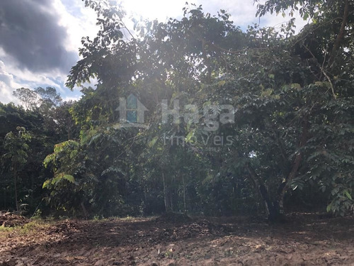 Imagem 3 de 16 de Terreno Rural Para Chácara À Venda Em Itajaí/sc - 1670c