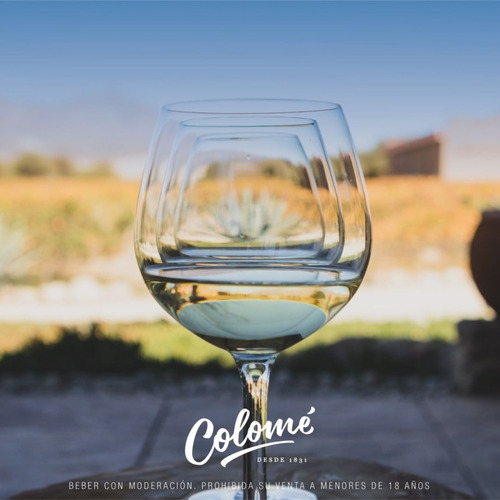Imagen 4 de 10 de Vino Colomé Altura Maxima Sauvignon Blanc 750 Ml