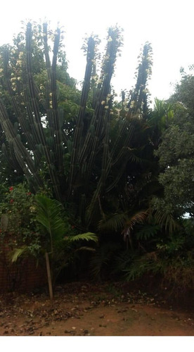 Imagem 4 de 14 de Vendo Chacara Regiao De Salto De Pirapora-sp (4243 )