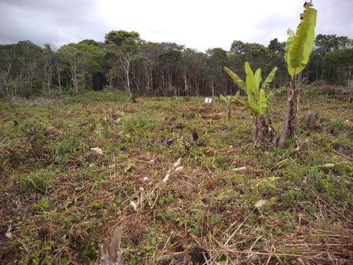 Imagem 5 de 9 de Lote Na Praia 25 Mil De Entrada Em Itanhaém. 6767e