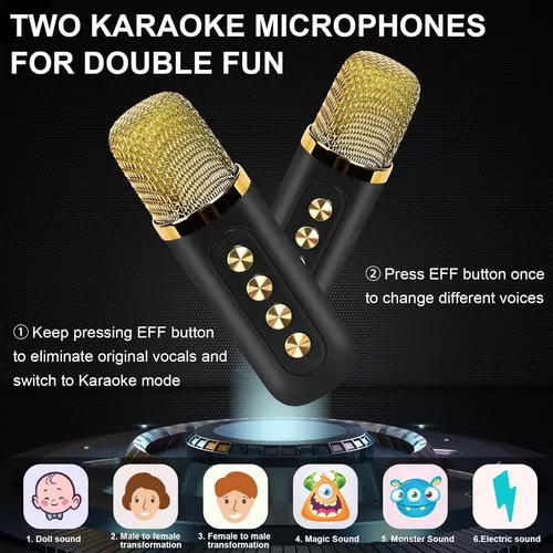 Máquina De Karaoke Con 2 Micrófonos Inalámbricos, Máquina De