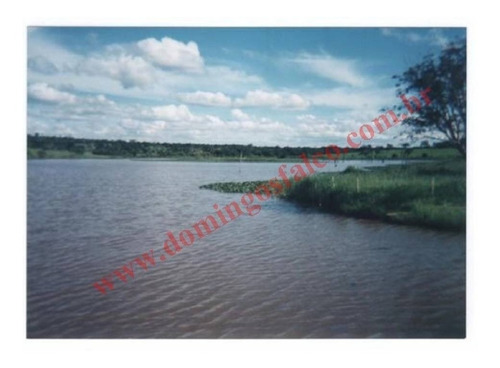 Imagem 10 de 24 de Venda - Fazenda - Zona Rural - Pirapora - Mg - D0342