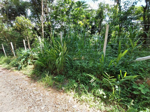 Imagem 2 de 14 de Terreno À Venda, 3235 M² Por R$ 180.000 - Parque Suiço - Mairiporã/sp - Te0832