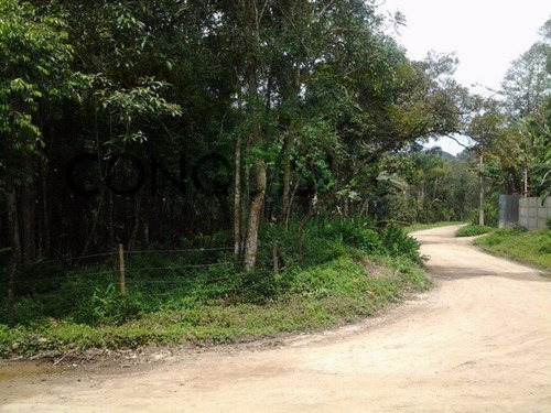 Imagem 5 de 6 de Sitio - Curucutu - Ref: 1428 - V-3551