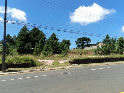 Imagem 1 de 1 de Terrenos - Ref: L708
