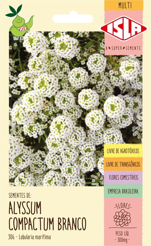 Sementes De Alyssum Compactum Branco