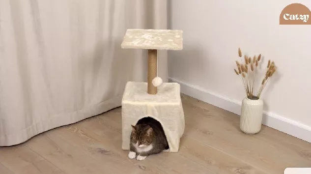 Casa para Gato, Poste Rascador y Balcón