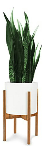 Soporte Para Plantas Fox & Fern Mid Century - Maceta Ajustab