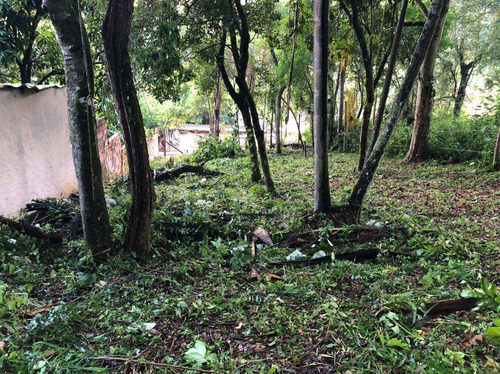 Imagem 6 de 8 de Terreno, Itaim Mirim, Santana De Parnaíba - R$ 100 Mil, Cod: 235506 - V235506