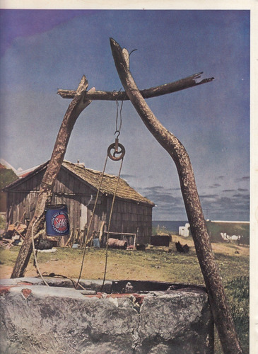 1945 Publicidad Yerba Sara Con Aljibe En Cabo Polonio Rocha