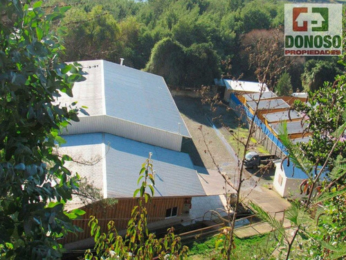 Imagen 1 de 20 de Arriendo Centro De Eventos Sector Huichahue.
