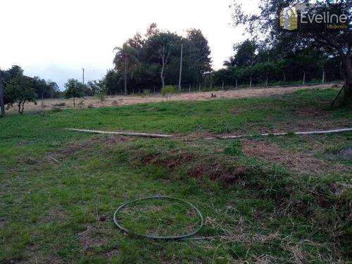 Imagem 10 de 30 de Chácara Com 2 Dorms, Taiaçupeba, Mogi Das Cruzes - R$ 500 Mil, Cod: 2197 - V2197