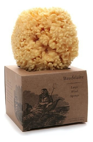 Baudelaire, Sea Sponge - Lana Caribena De 5.5 in, 1 Unidad