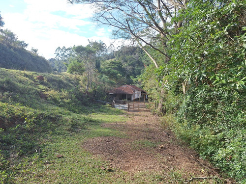 Sitio A Venda; 3.5 Alqueires De Terra No Sítio Tem Mina De Á