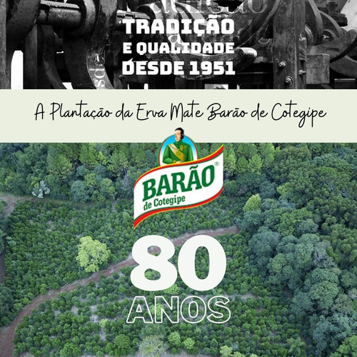 Erva-mate Barão de Cotegipe suave sabor erva mate tradicional gaúcha sem glúten em embalado a vácuo 5kg pacote de 10 u