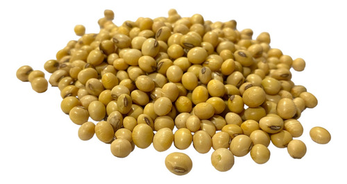 Semilla De Soya Forrajera Sin Tratar  1 Kg 