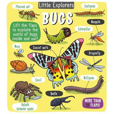 Libro Little Explorers: Bugs - Little Bee Books