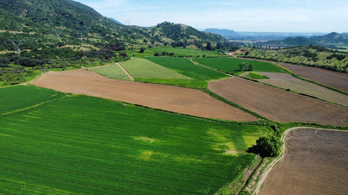 Codegua, Chimbarongo, Predio De 54,49 Has Ideal Par Cerezas