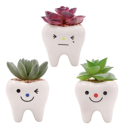 Paquete De 3 Mini Macetas Cerámica Para Suculentas Multicolor/surtido Nombre Del Diseño