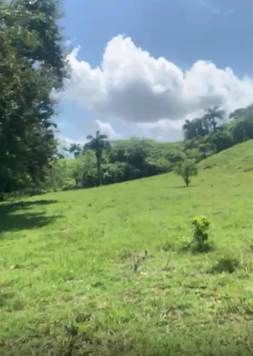 Título Deslindado