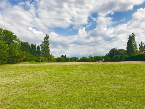 Imagen 8 de 9 de Nordelta - La Isla | Unico !!! El Mejor Lote En Exclusivo Barrio, En Venta.