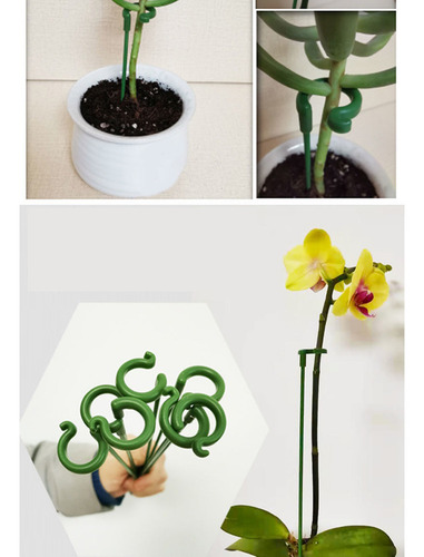 Varetas De Suporte Para Plantas, 10 Peças, Suporte De Bonsai