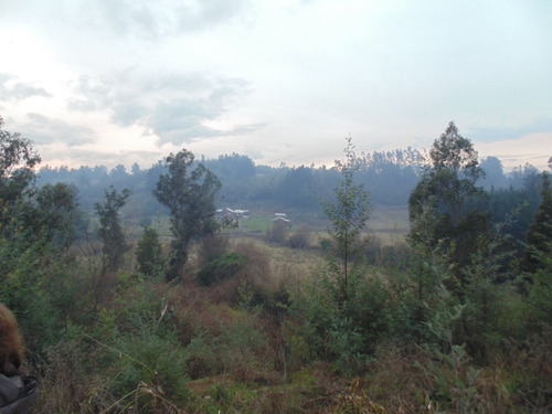 Vende Sitio En Luis Durand A 6 Uf/m2 Con Potencial Inmob.